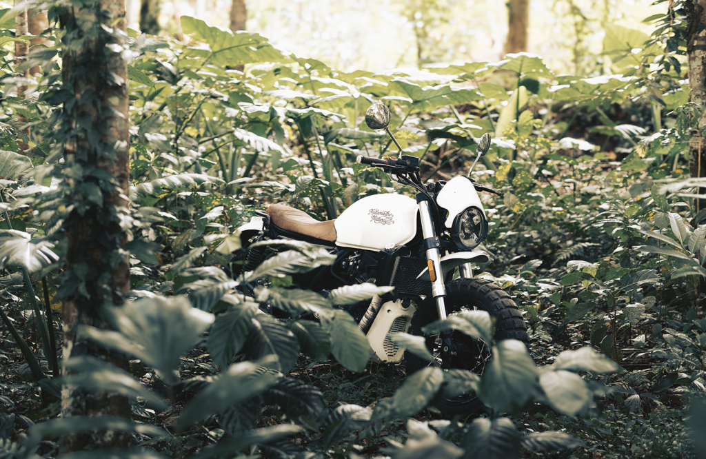 Noel Forseas, high-quality sports photographer Virginia. A motorbike located in the middle of a tropical forest.